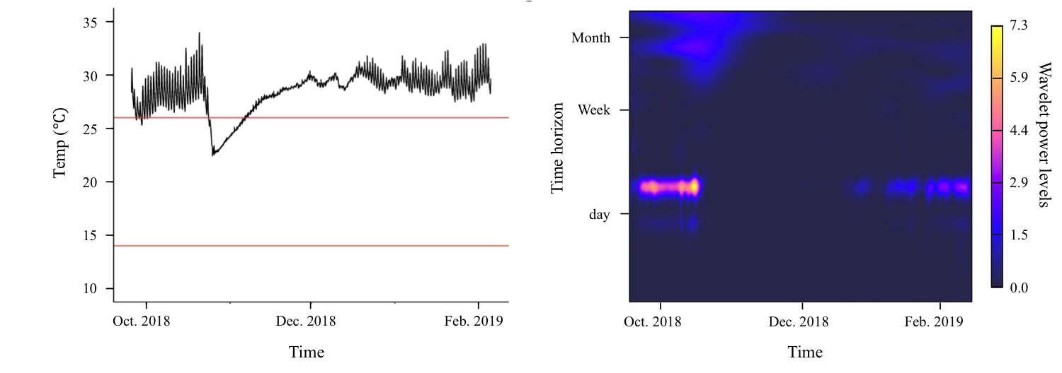 alt-text="Wavelet analysis"